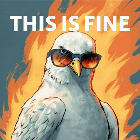 SteveSeagullEt's tweet photo. Hello $STEVE community!
Show our bird some support after the hell of a week we've all been through.
$STEVE is invincible and is here to flock #LFGULL
#STEVE #SQUAWK #MEMECOMMUNITY https://t.co/GPLrLWFVki