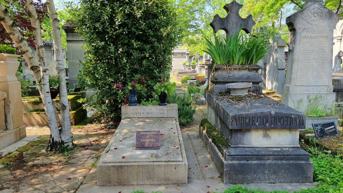 SRC Reizen tweet media