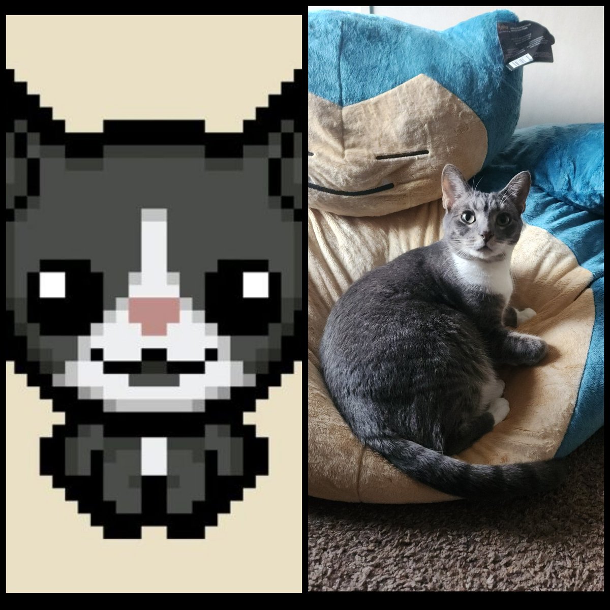 KatcoPlays's tweet photo. @edmundmcmillen How about this one? https://t.co/t4jDznnFpv