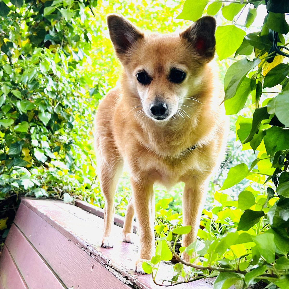 Happy Mother’s Day 🌺🌻🌷