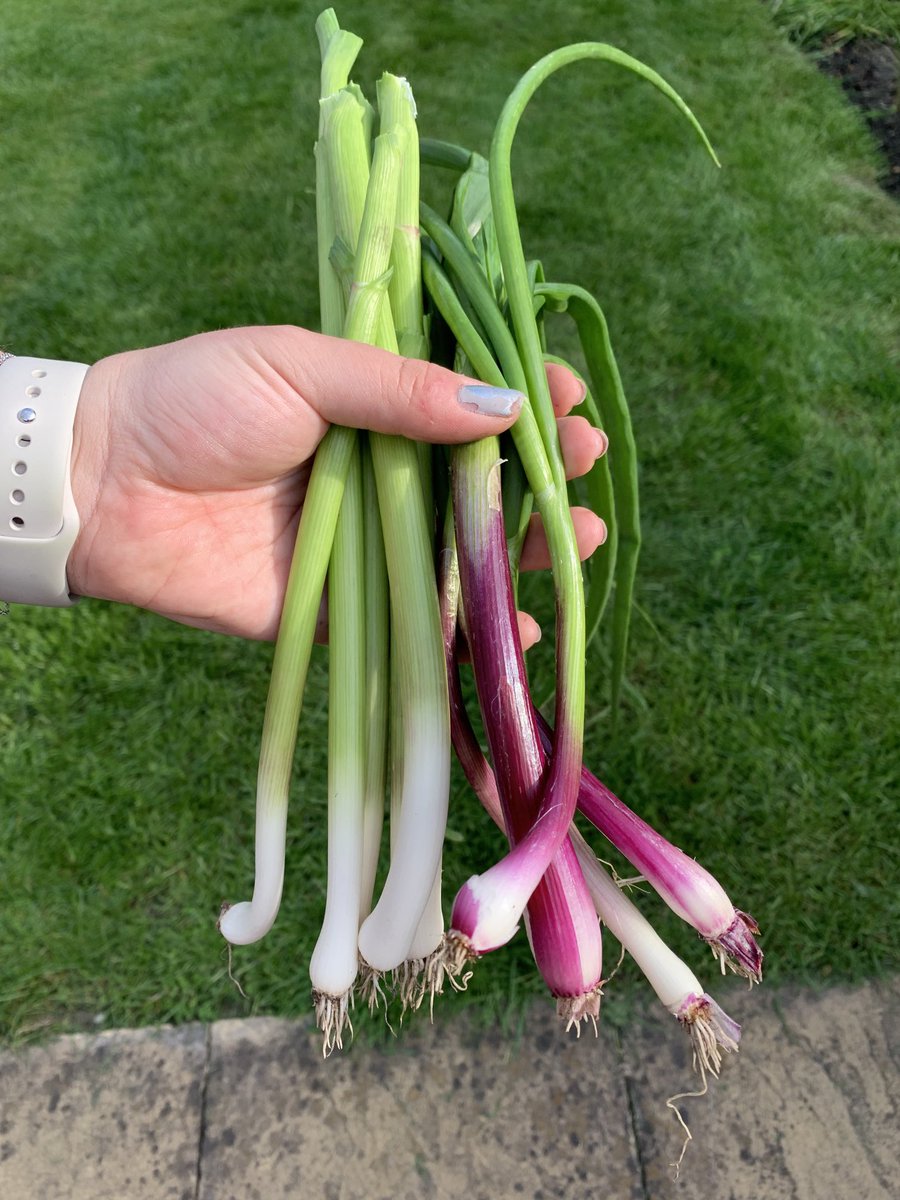 Josh Elden tweet media