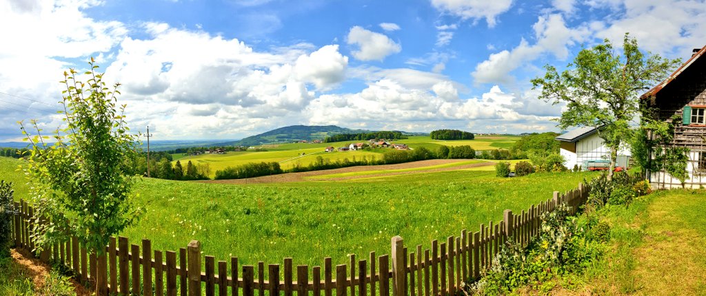 #weddingcelebration 2023/05/23 #windinggut