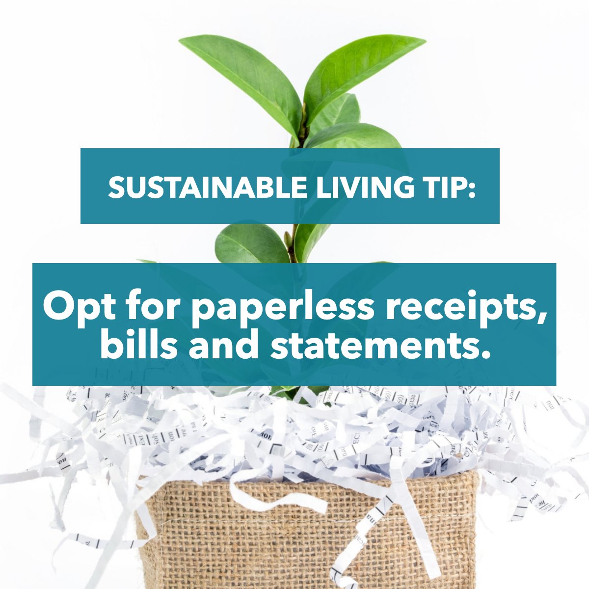 Let's do our part! 

Let's save paper 📄 with this useful tip! 

#green  #paperless  #sustainableliving  #tip
#justclosed #weloveourclients #homebuyers #homeowner #homeclosing #coloradospringsrealestate #coloradospringsrealtor #coloradosprings #colorado