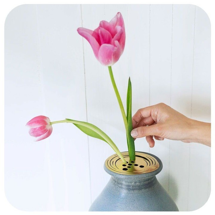 We're all about community at House of Thol! 🌟🌱 ⁣
Both our Flower Constellations and Patella Crescenda sprouting set were crowdfunded via Kickstarter, allowing us to involve our community in the creation of our products. 💕 ⁣
⁣
Thanks to the suppor… instagr.am/p/CsOs-B-ssz3/