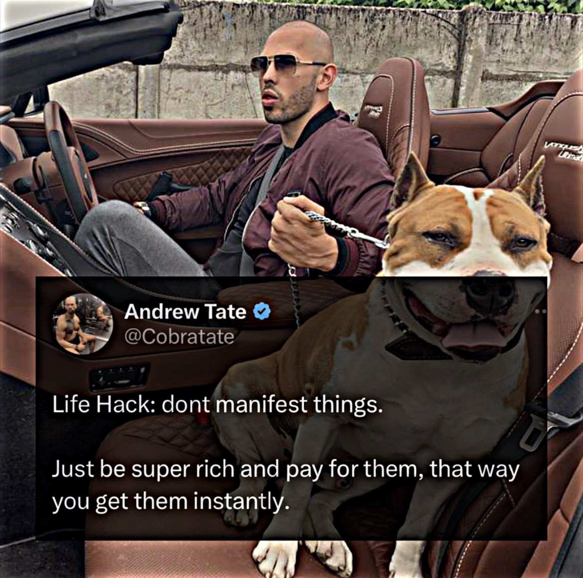 Tate_Modern tweet media