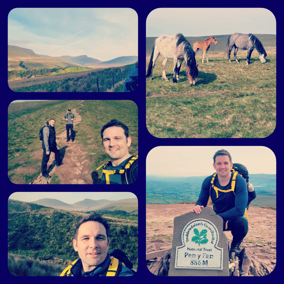 Rhys Griff tweet media