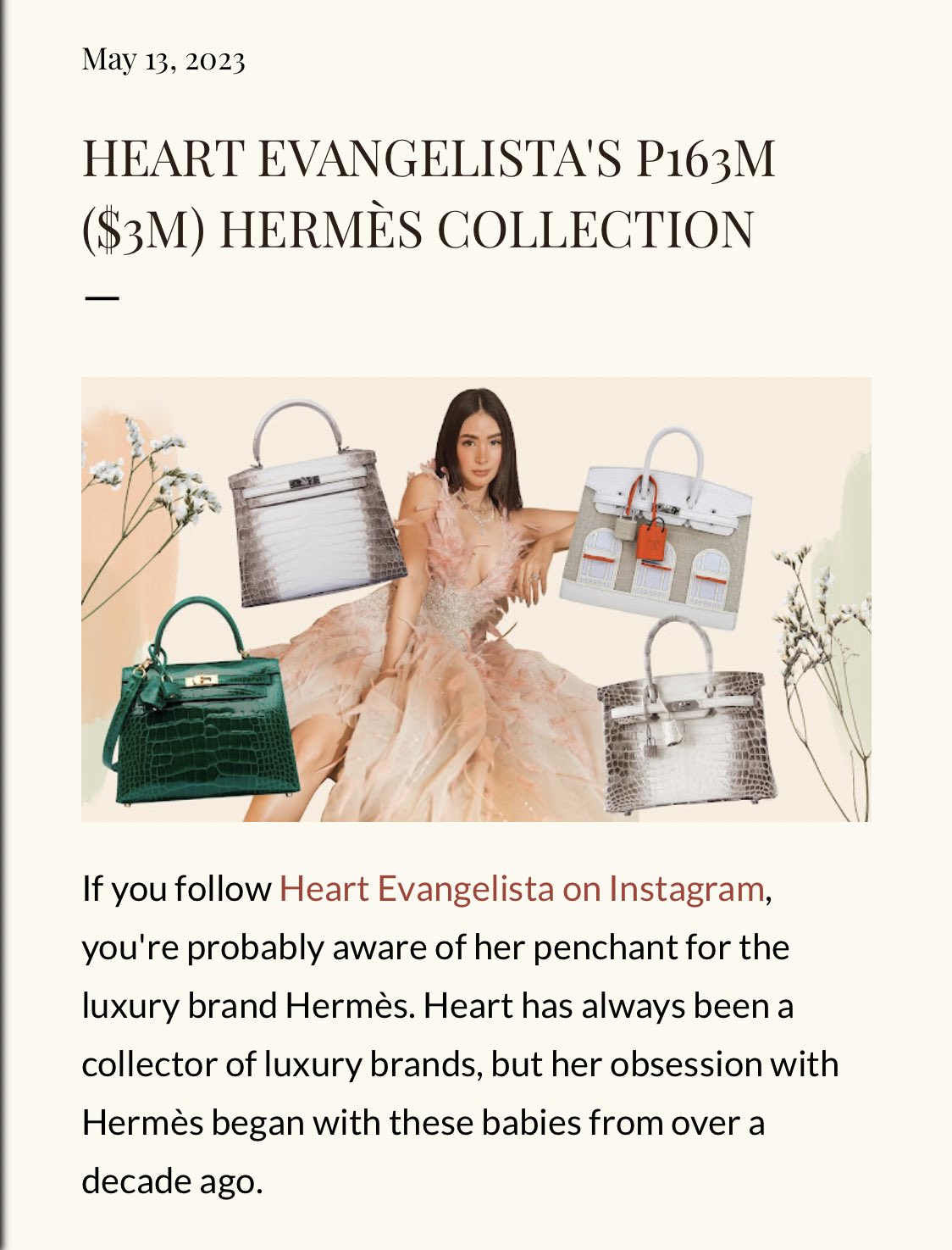 Himalayan birkin bag store heart evangelista