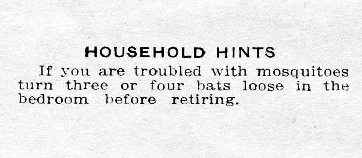 yesterdaysprint's tweet image. The Tampa Tribune, Florida, July 25, 1913