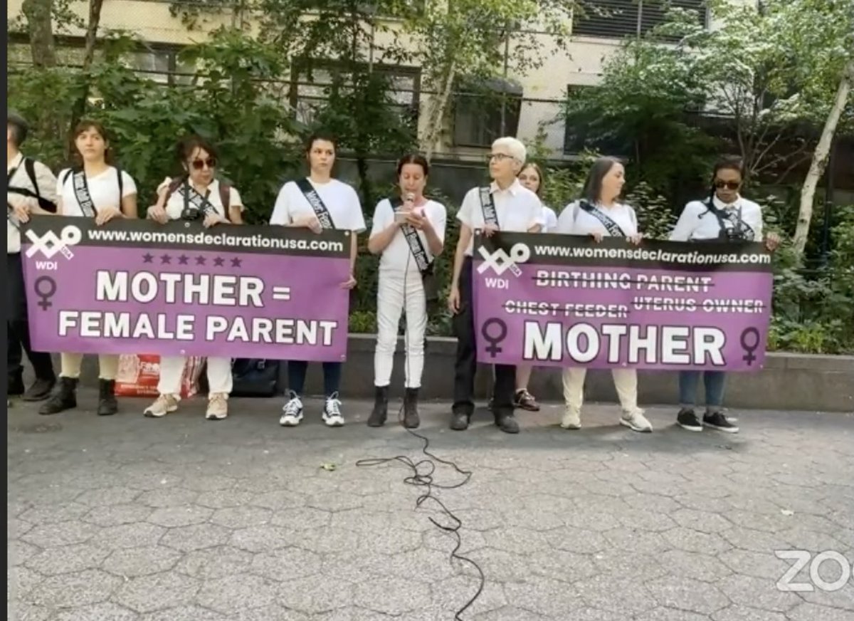 Declaration on Women's Sex Based Rights tweet media