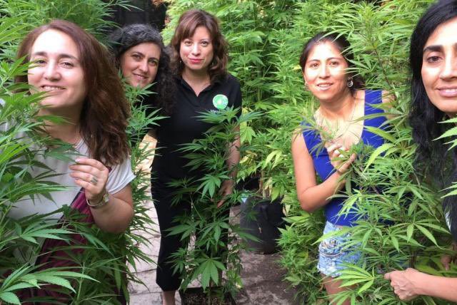 Abrazos a todas esas valientes madres que nos dieron el impulso de organizarnos y luchar juntas por el derecho a una terapia alternativa y eficaz para nuestros hijos
Que el amor, convicción y perseverancia les sea reconocido y celebrado como se merecen

Feliz día Mamás💚💜💙