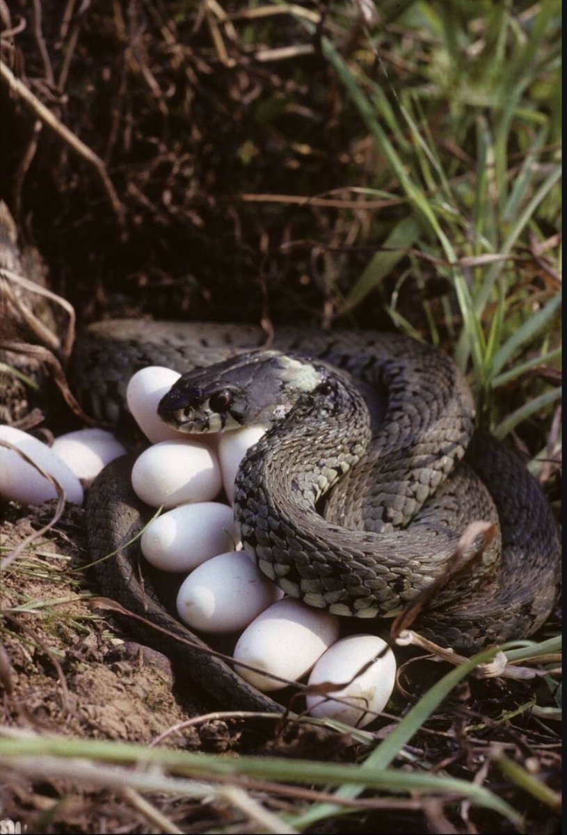 Happy Mother’s Day from the 505!