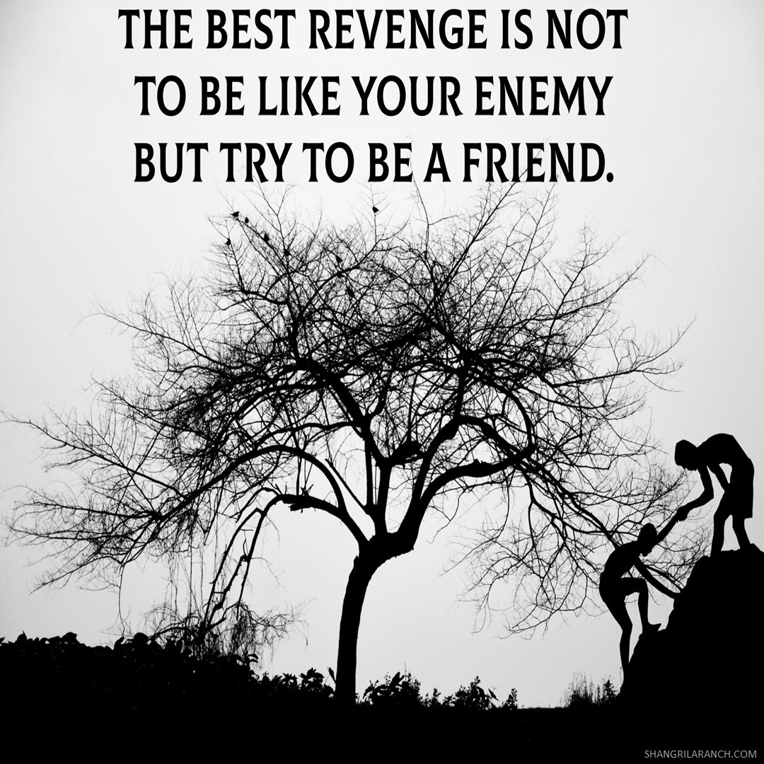 SLRNude's tweet photo. Get back at those who have wronged you the best way possible: by being kind and showing them that their actions won't define you #FriendNotFoe https://t.co/DaH31KAal5 https://t.co/zAG2iETYoH