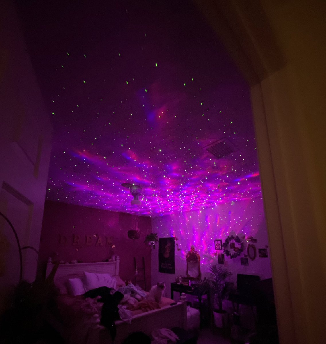 Exulansista's tweet photo. galaxy lights https://t.co/HPmu0zXa3m