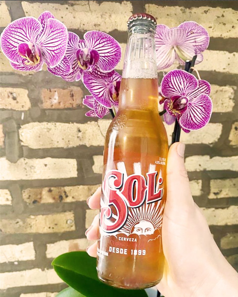 SolBeerUS's tweet image. Whether you celebrated on the 10th, or are celebrating today, here’s to mom.