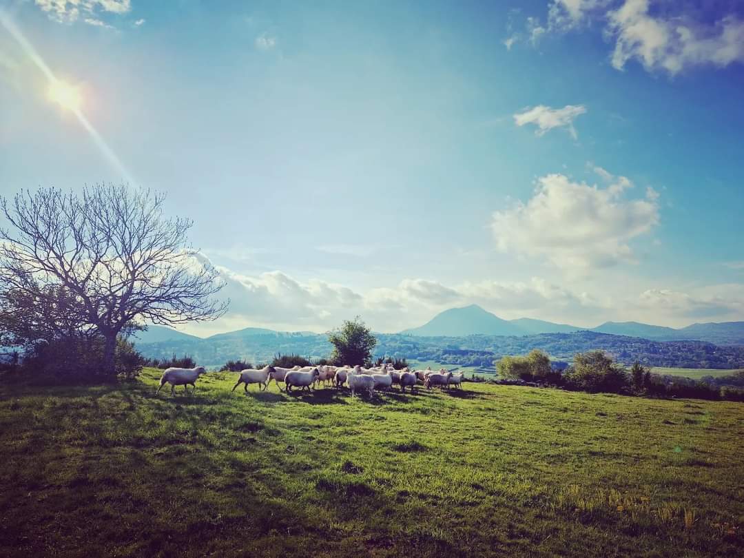 pierreandrieu's tweet photo. Cadre idéal pour (ré)écouter la dernière merveille du groupe @cabanemusic, "Today"... #cabane #today #auvergne #puydedome #hills #chainedespuys #montagne #printemps #spring https://t.co/HCcuDAOmjG