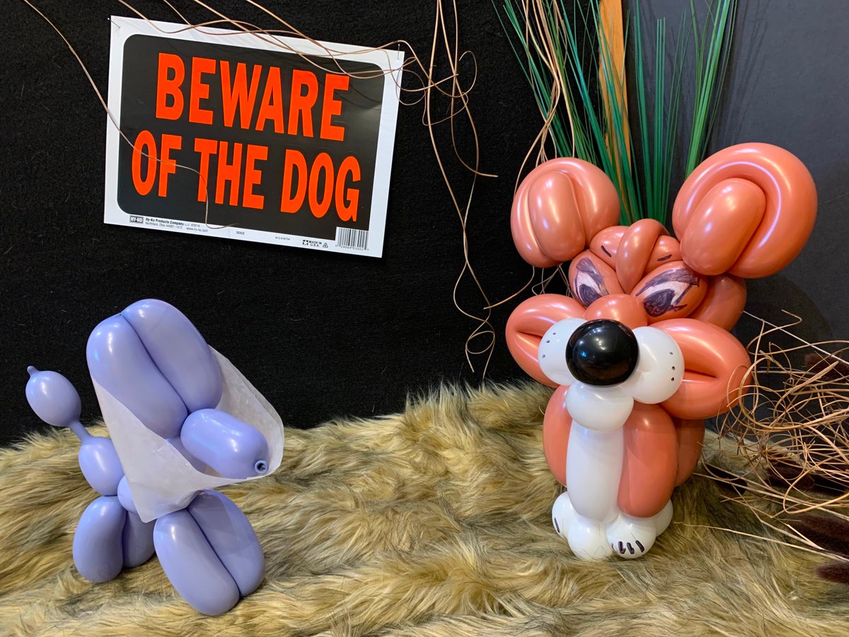 GottaBeCrazy2's tweet photo. #GISH2022 #Item46: Your balloon animal guard dog next to a menacing "beware of dog" sign. The more menacing the environment the better. #GISH #TeamGottaBeCrazy https://t.co/3E3faary4e