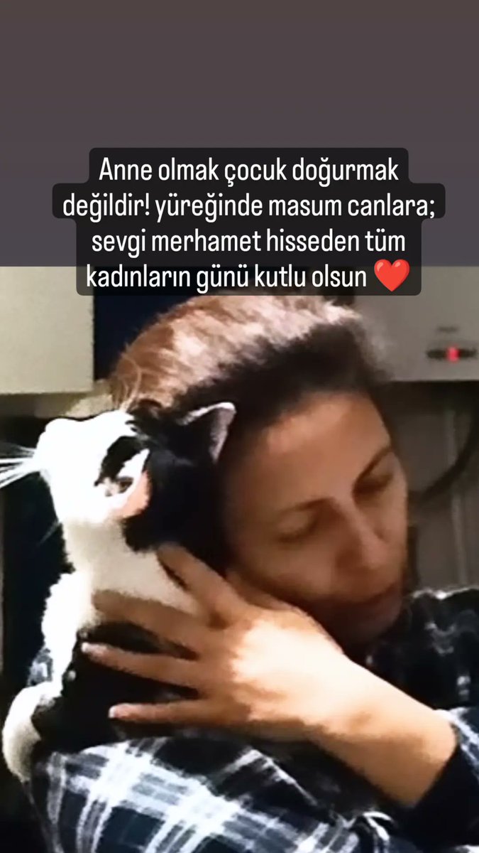 Azra_K... (@kociazra) on Twitter photo 