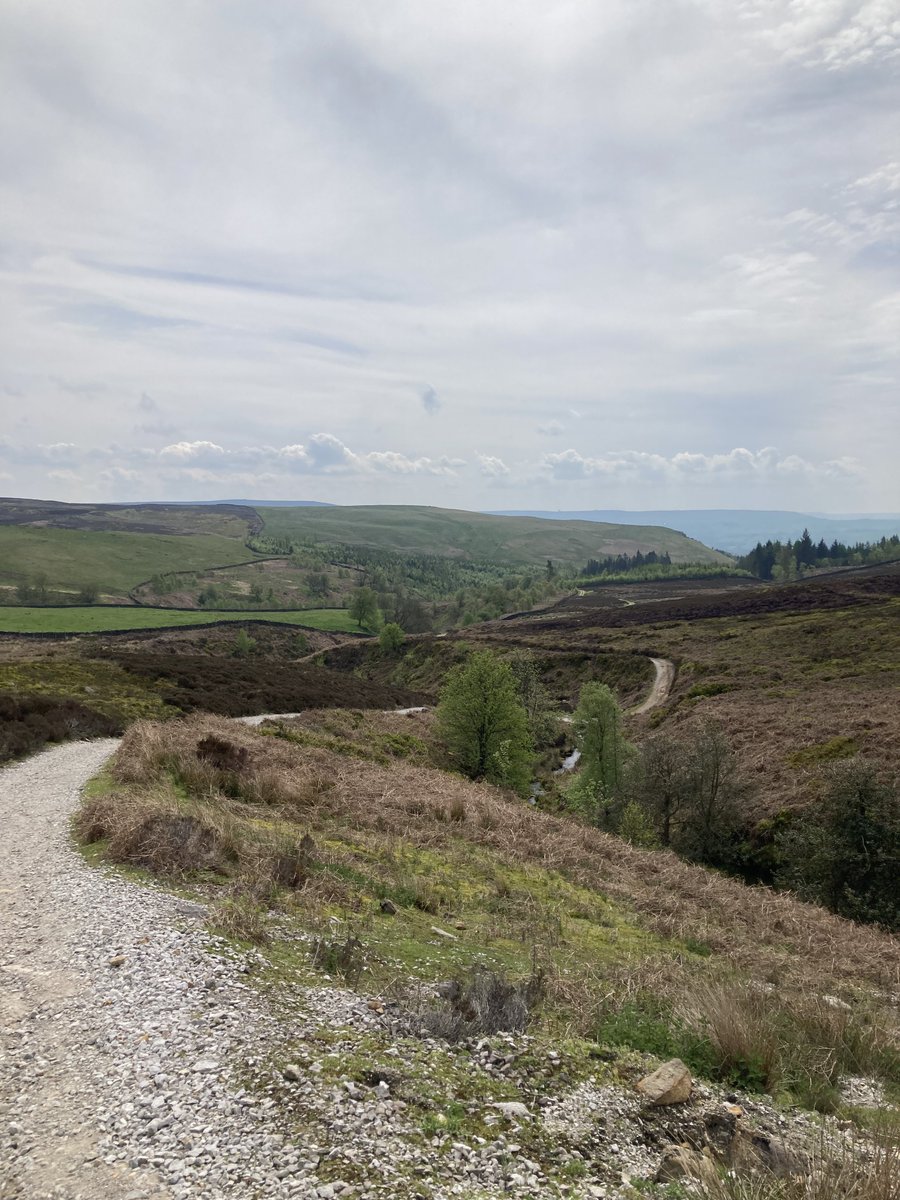 John_Salt's tweet photo. A great 10ml practice walk before the big one next week. #simonsseat @bolton_abbey #Bluebells https://t.co/MYuS1SNND1