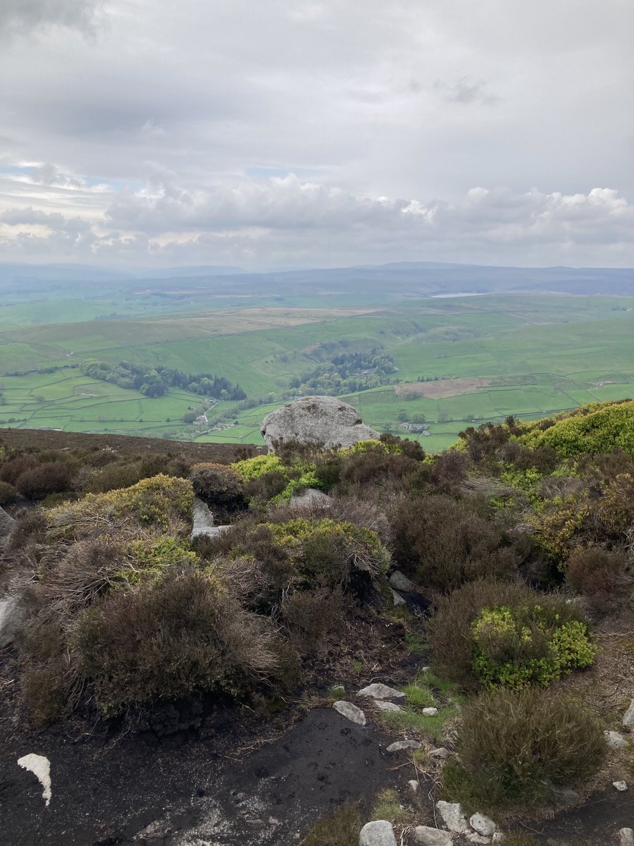 John_Salt's tweet photo. A great 10ml practice walk before the big one next week. #simonsseat @bolton_abbey #Bluebells https://t.co/MYuS1SNND1