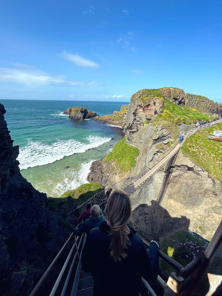 Anna K. Pernegger tweet media