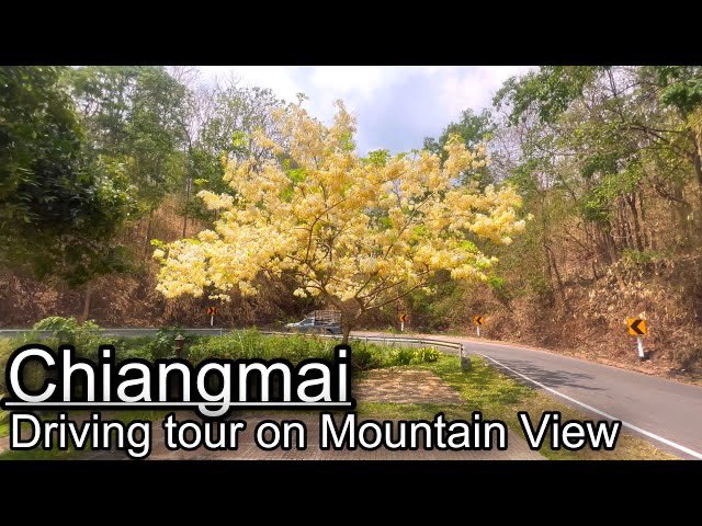 nanniejaja's tweet photo. Driving tour in Chiang Mai Mountain , 40 degrees Summer , Chiangmai, Thailand
https://t.co/CaJF9Ff1mu

#chiangmail #driveinChiangmai #driveinThailand #driveinsummer
#Thailand #drivingtour  #Virtualtour #chiangmaiThailand #4kDrive  #vlog  #travelchiangmai #trip #drive #roadtrip https://t.co/CVYujOqdtV