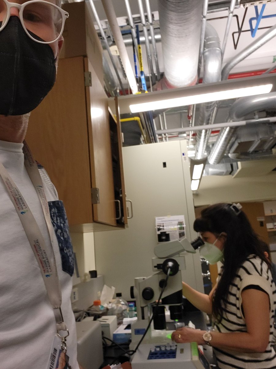 Zachary Whiddon tweet media