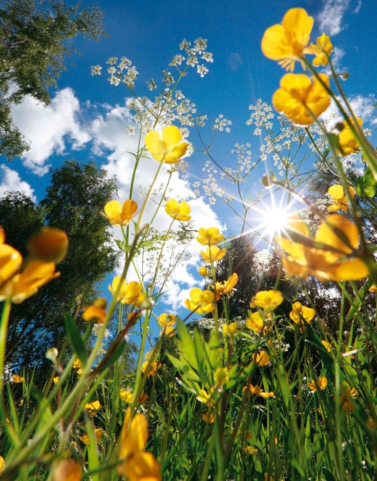 Buenas tardes🌸
<a href="/cmaita06/">cdalia</a>
<a href="/Daymars2003/">Daymar</a>
<a href="/Jade9807F/">Jade</a>
<a href="/Magdalenac1965/">Magdalena</a>
<a href="/MarycruzRigo/">🌷♥️Marycruz Gomez Rigo♥️🌷</a>
<a href="/Minnie15m/">Minnie</a>
<a href="/Oswaldito2023/">Oswaldito</a>
<a href="/Taty29Rojita/">taty29</a>
<a href="/Jade9807F/">Jade</a>
#DíaDeLaMadreEnAmor