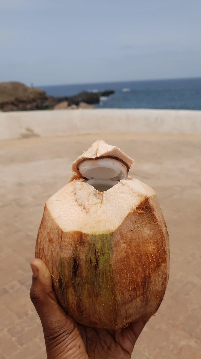 Ana Karité Ⓥ🥭 tweet media