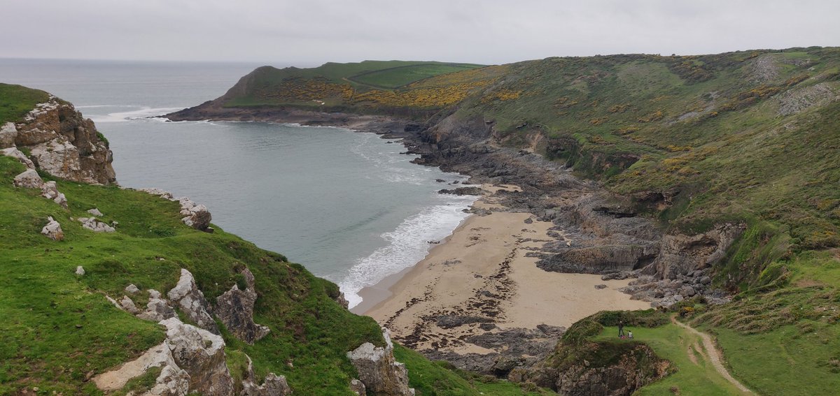 DerekTheWeather's tweet photo. Enjoyed a 5 mile circular walk today from Rhossili to Mewslade with members of @GowerSociety which recently celebrated its 75th anniversary. Lovely people and wonderful scenery! 👍 https://t.co/YIYRG9Owey https://t.co/bazLzaeXxk