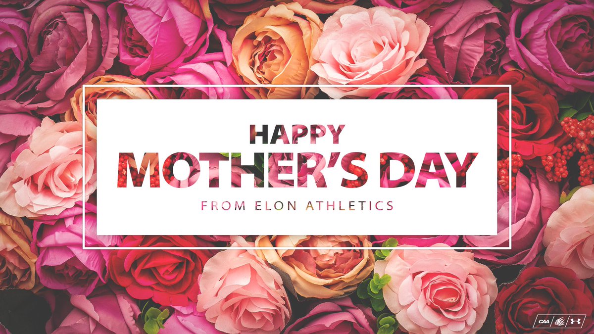 Elon Phoenix tweet media