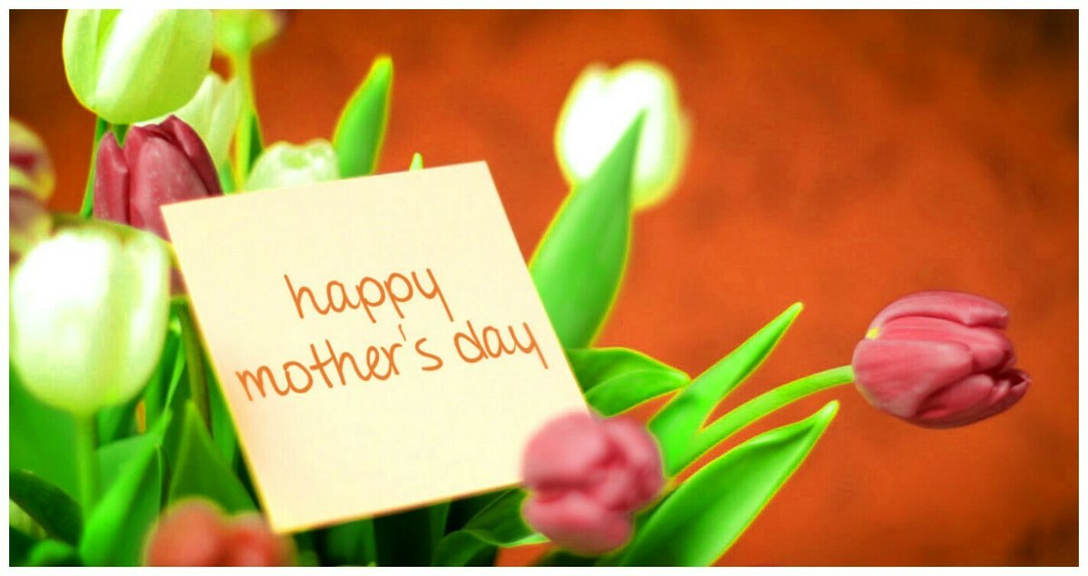 SpringHillsDen's tweet photo. From all the moms at Spring Hills to all the moms in our community, we hope you are enjoying a happy Mother's Day! https://t.co/OBoie4UTkC