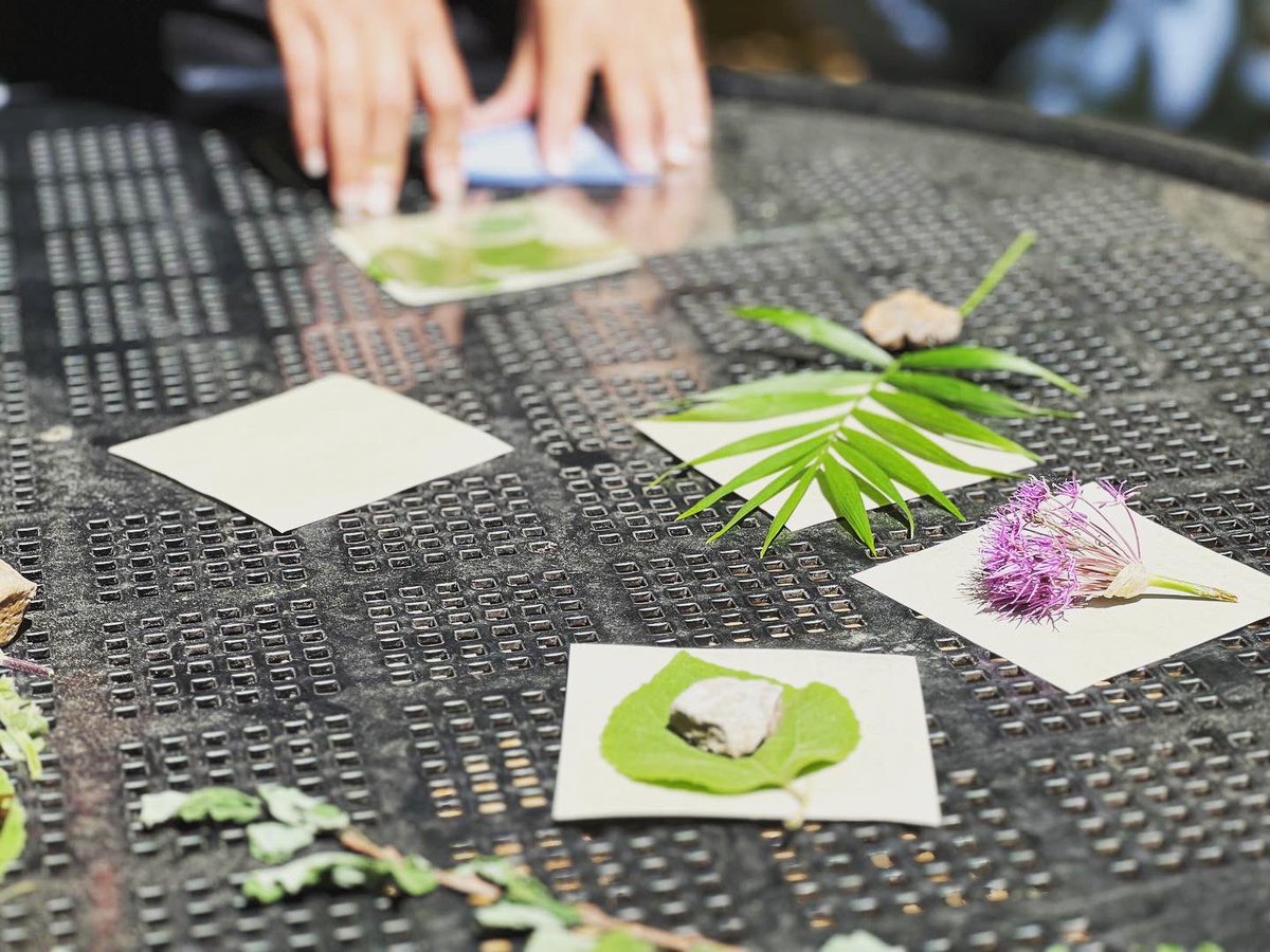 DBBSSAC's tweet image. Cyanotype crafting as part of SAC Wellness Week. Amazing arts were made there!!! 🌿🍁🎨