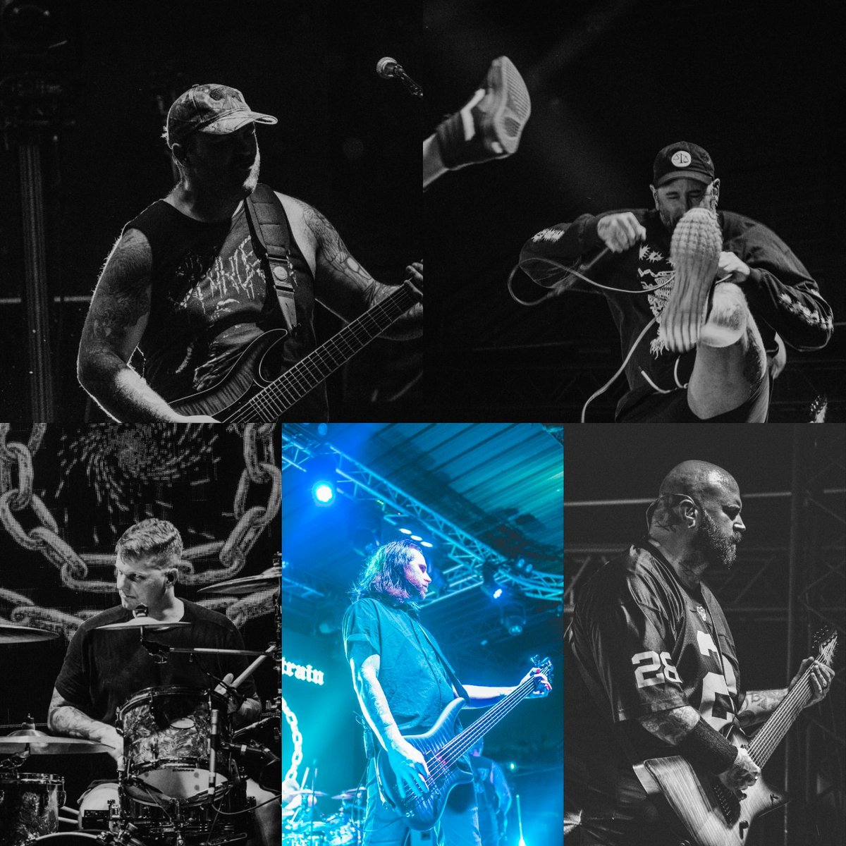 matteblacphoto's tweet image. I&apos;ve done nothing but listen to #StepIntoTheLight &amp;amp; #FailureWillFollow since they came out. Easily the best releases of 2023
•••
@theacaciastrain photographed for @MusicSceneMedia
•••
#theacaciastrain 
#TAS
#riserecords
#MusicSceneMedia 
#msm
#doommetal 
#deathcore