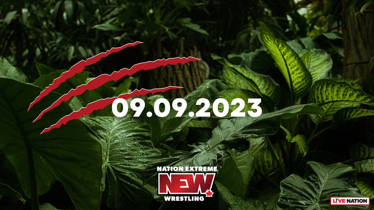 Nation Extreme Wrestling tweet media