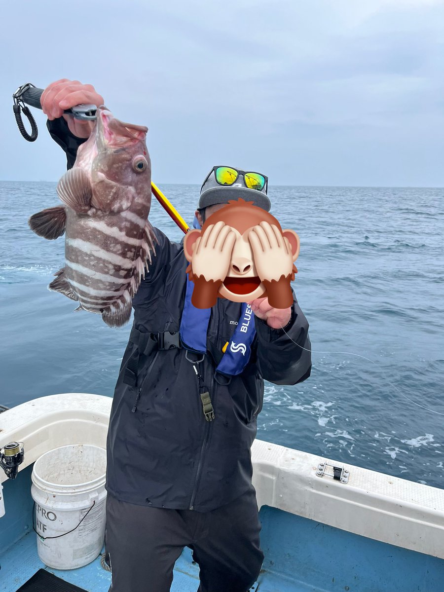 FF11Gaachan@おでん鯖 tweet media