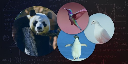 dentistidentity's tweet photo. Having SEO for your website can help bring in new traffic. Let our Google algorithm experts improve your website today! https://t.co/bGG1Lj5ybh