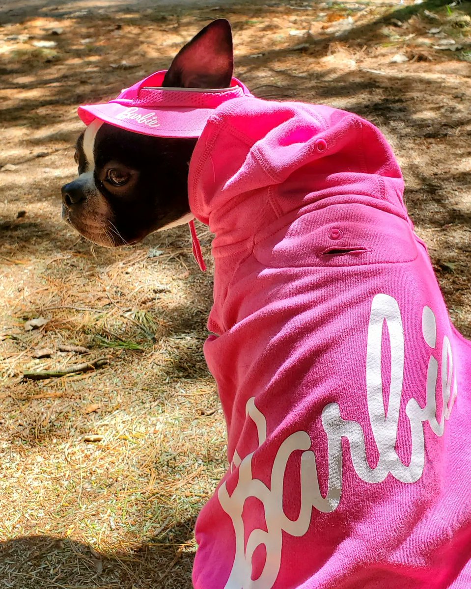 bcase03's tweet photo. Barbie Girl Bailey! 🦩turning a big ONE tomorrow!
Unfortunately I forgot to get photos of her this weekend & I also forgot the cake at home. 🤷🏻♀️
H A P P Y B I R T H D A Y! 🎀
#canadapooch #Barbie #barbiedog https://t.co/Lno3EexSq4