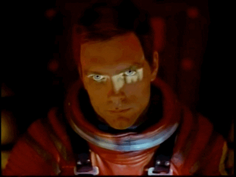 Donna aka Mugsy 🇺🇦 tweet media