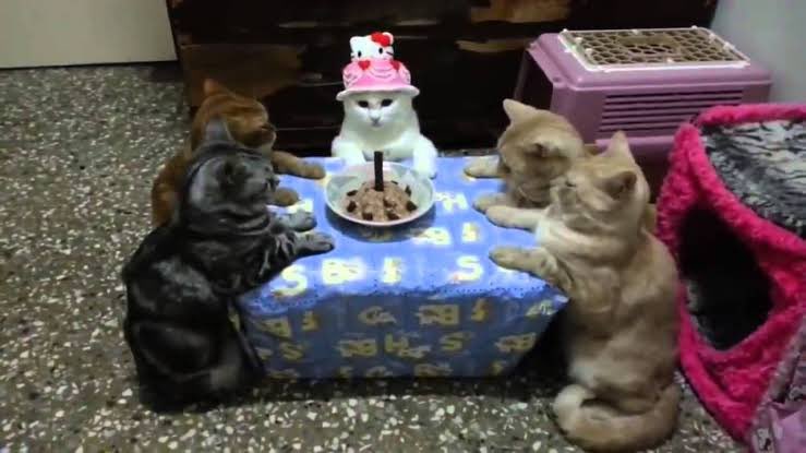 khristoff's tweet photo. Feliz cumpleaños @Mildred_Merabak https://t.co/5Fj50WfvtE