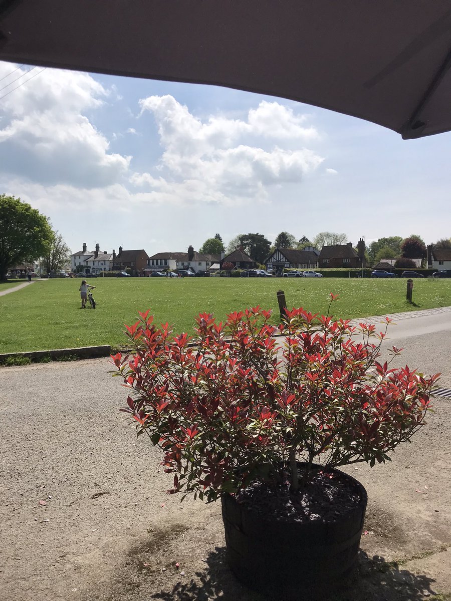 hollycorner's tweet photo. Checking out the last stretch of the #shaletrail from #Horsehill to #Brockham 18 June. Got slightly waylaid at Brockham green, such a lovely day! @WealdActionGr @xrdorking @XR_RandR https://t.co/aiRB53gh2K