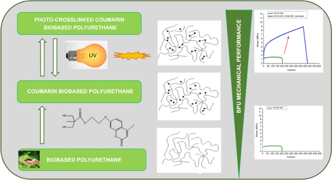 New Paper! 🧪 
Improving the performance of biobased polyurethane dispersion by the incorporation of photo-crosslinkable coumarin  
By  Lorena Germán, @RNCrespo02, et. al.

@GAIKER_BRTA 
@ictp_promocion
#Biobased #Polymers #ICTPaper
elastomeros.ictp.csic.es/publications/i…
link.springer.com/article/10.100…