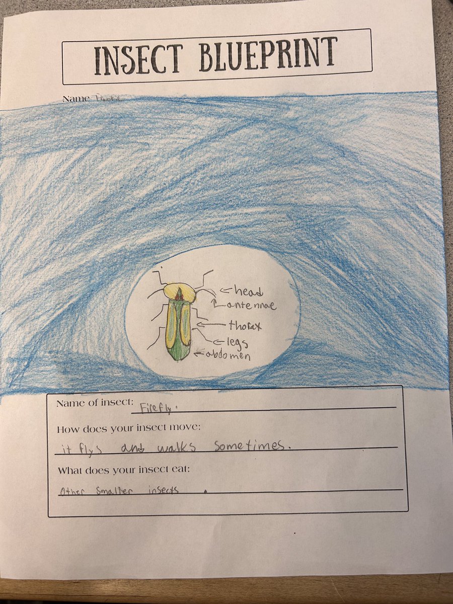 mrs_starr's tweet photo. After reading How to Build an Insect by @RobertaGibson, students took their learning to the next level by demonstrating their knowledge of the parts of an insect. From thorax to antenna they were buzzing with excitement! #sd36learn #sd36tl #insectanatomy https://t.co/3MwXUdJ99a