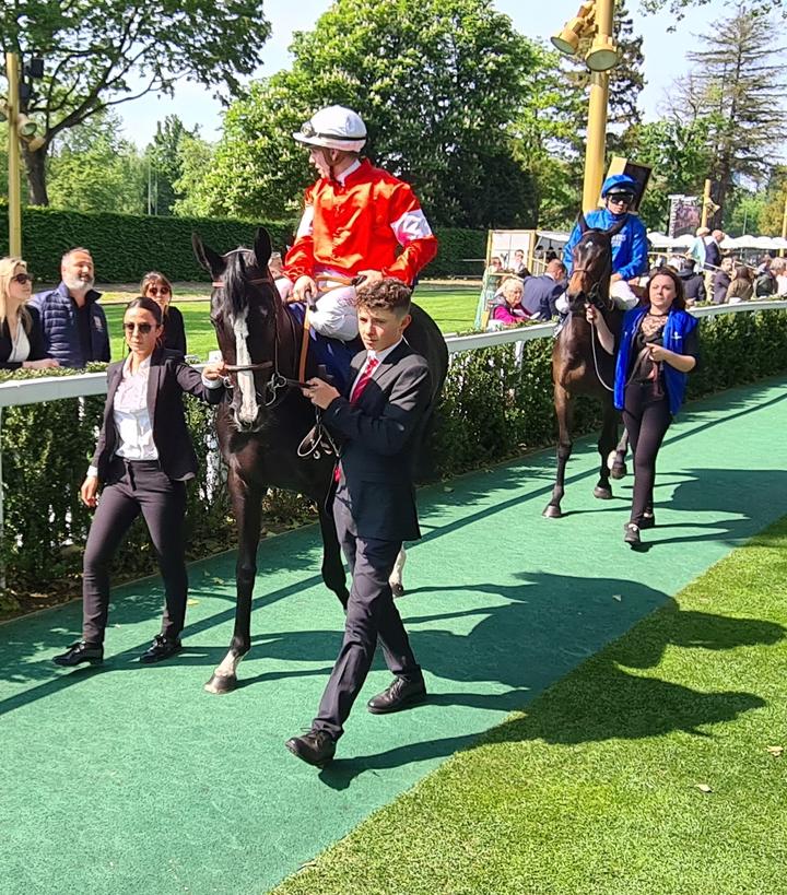 seenthestars's tweet photo. Poule d'Essai des Pouliches #BlueRoseCen #Lindy #Swingalong #NeverEndingStory @RacingPost @rpbloodstock https://t.co/d2zq4sMRp8