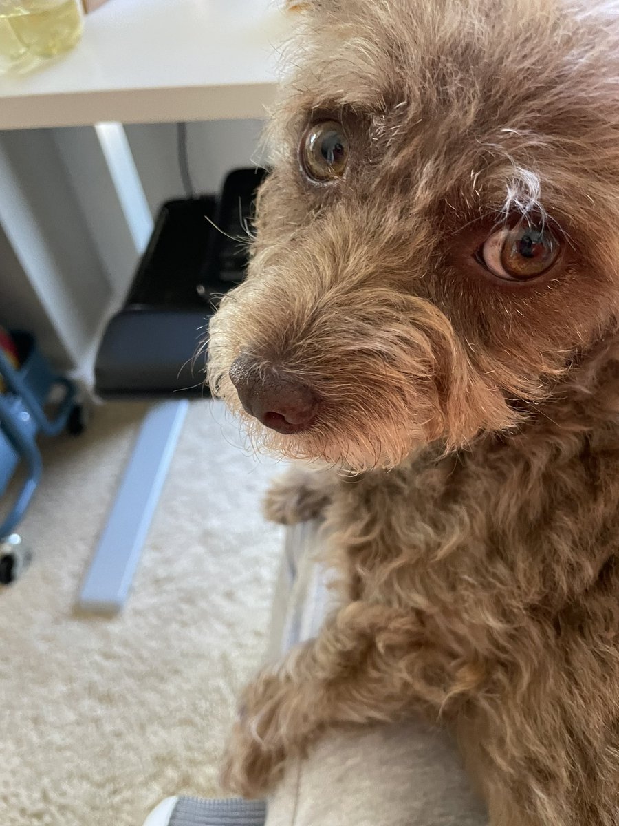 Neil ₿ 🦁 tweet media