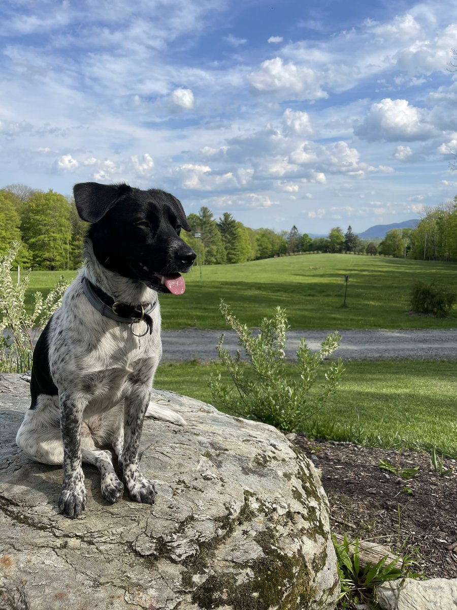 Neil ₿ 🦁 tweet media