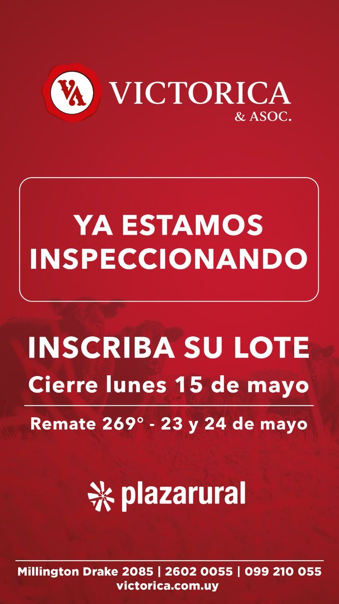 ignacio victorica (@ivictorica) on Twitter photo 