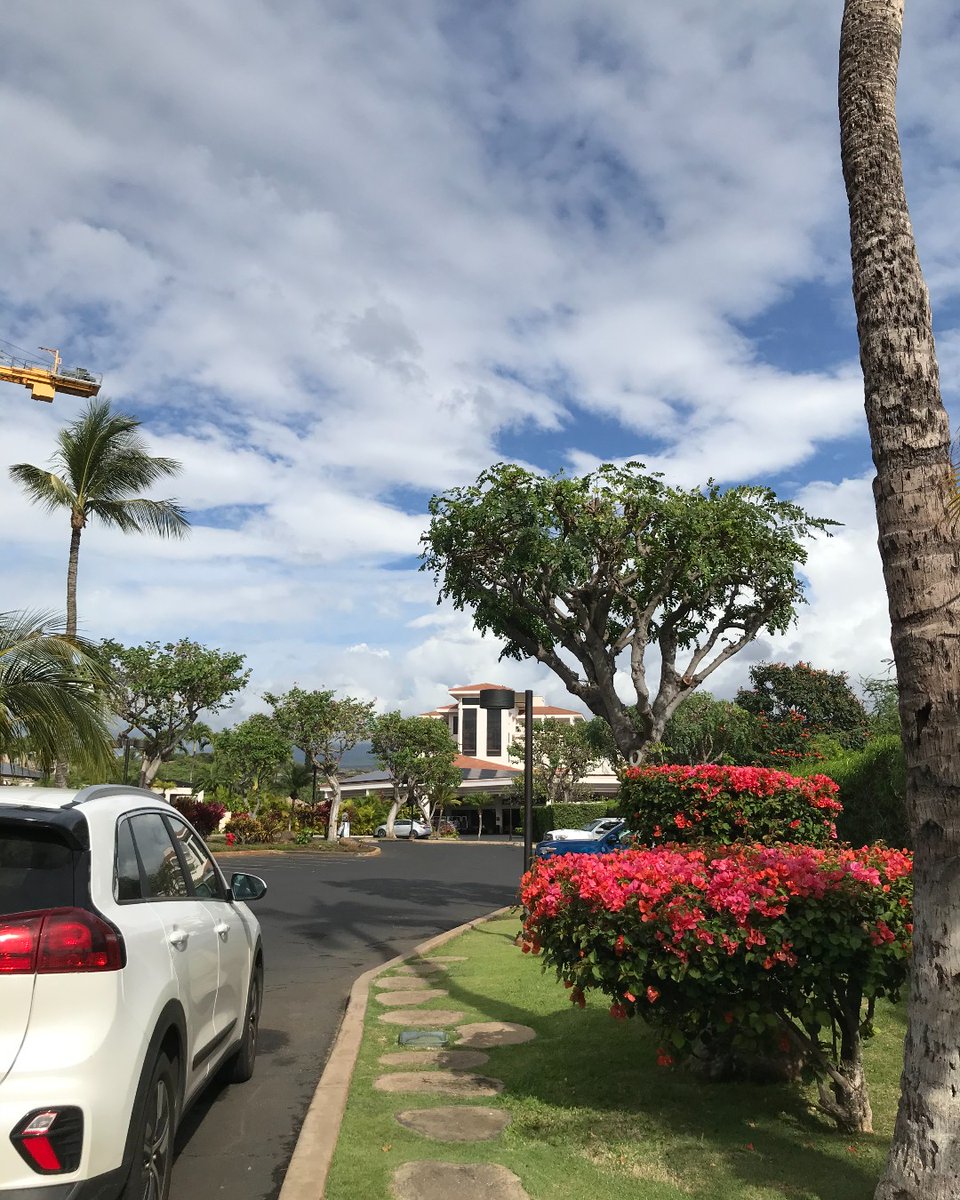 Aloha and welcome! #maui #mauicoasthotel #hawaiitravel