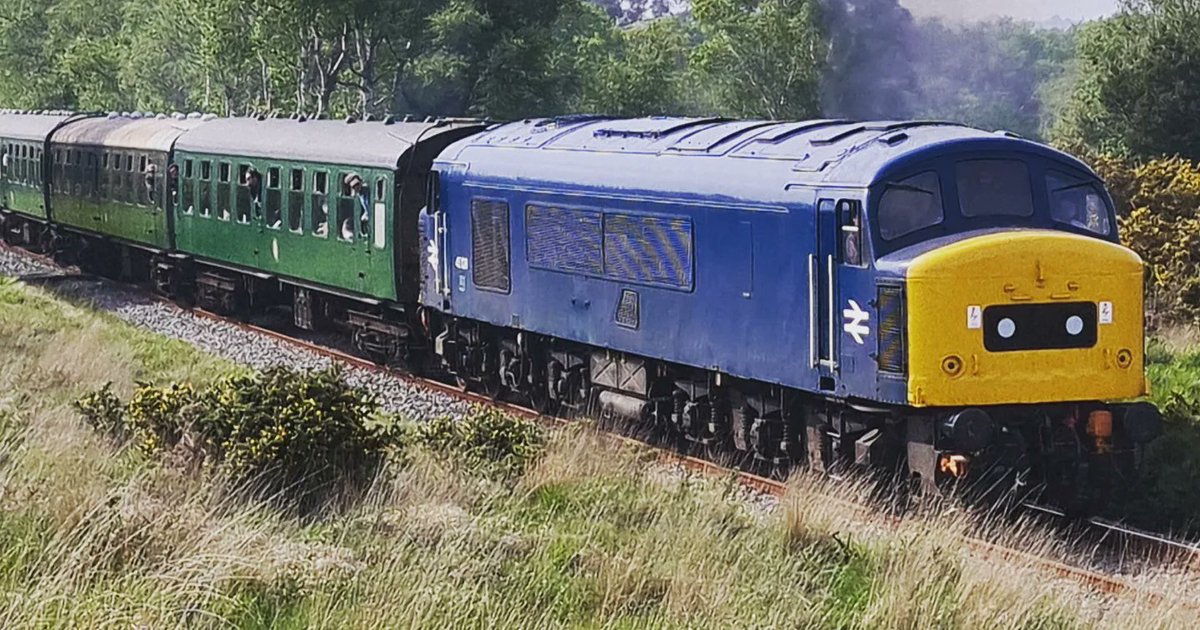 An afternoon trip to the @SwanRailway #DieselGala