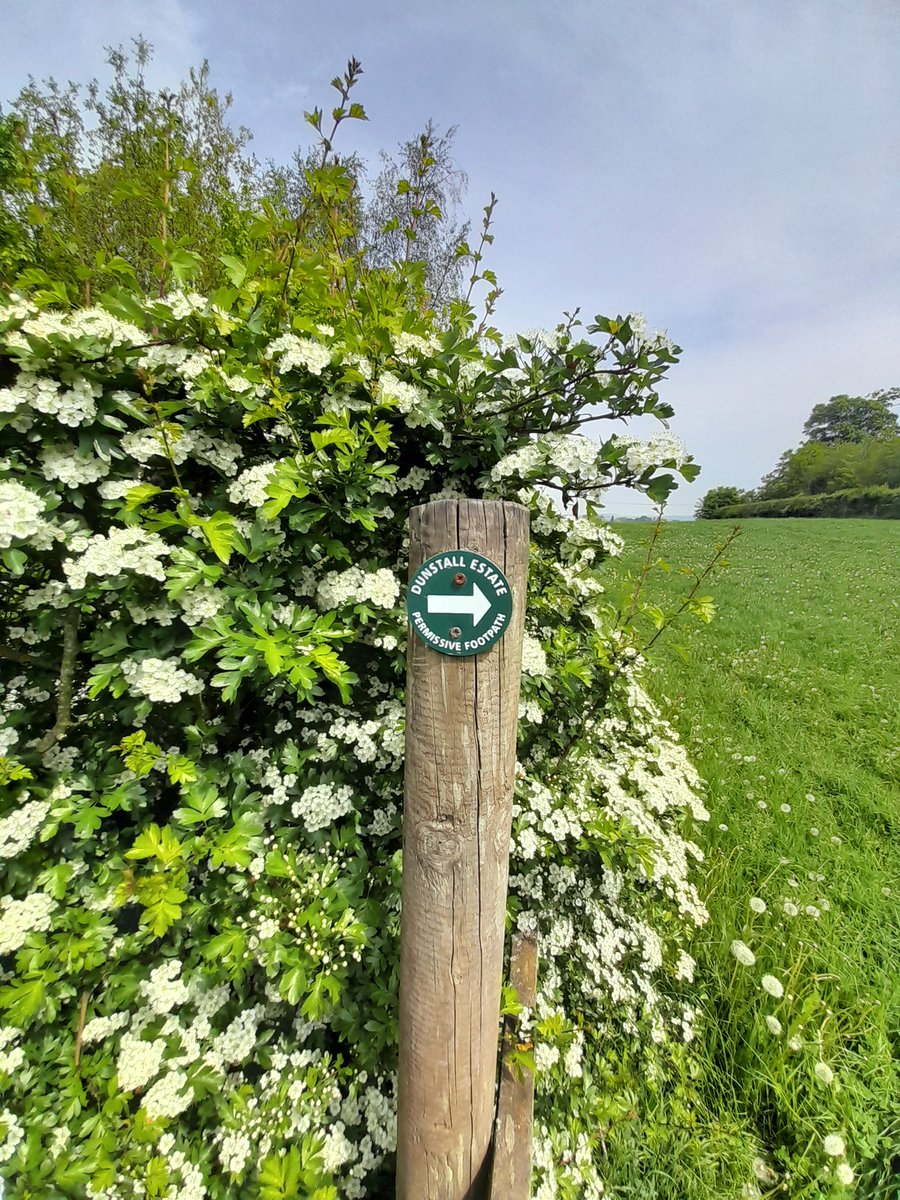 Jayne Dudley tweet media