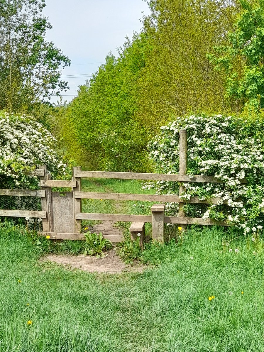 Jayne Dudley tweet media